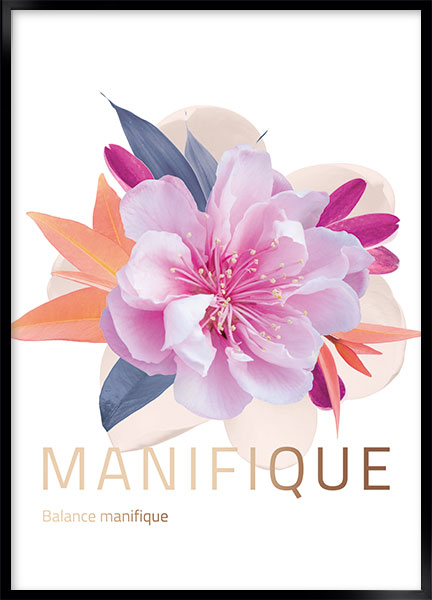 Plakat - Manifique