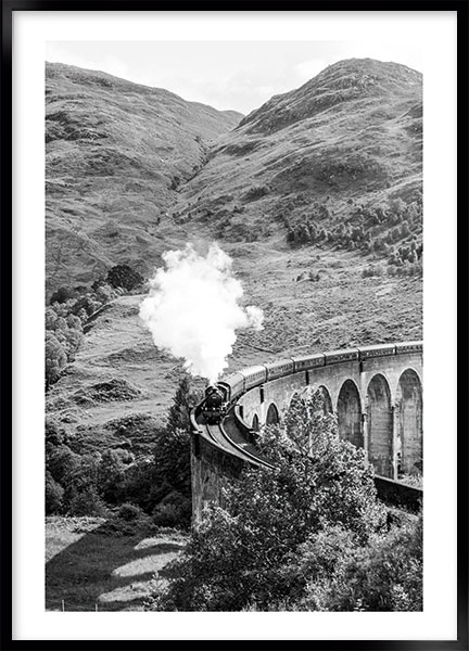 Plakat - Trainride
