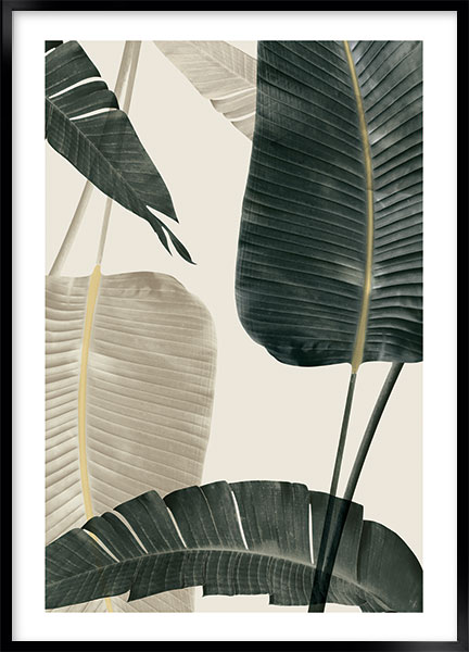 Plakat - Bananaleaf no1
