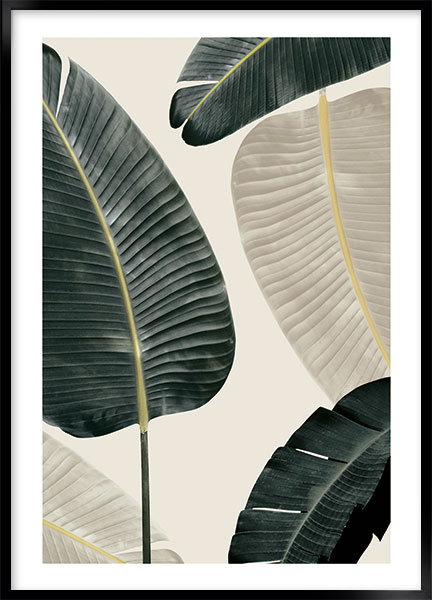 Plakat - Bananaleaf no2