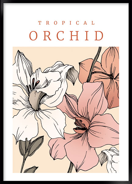 Plakat - Tropical orchid