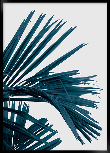 Plakat - Palm_no1