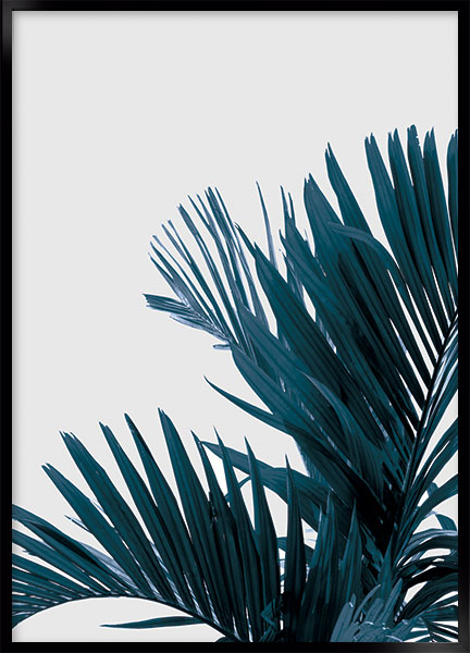 Plakat - Palm_no2