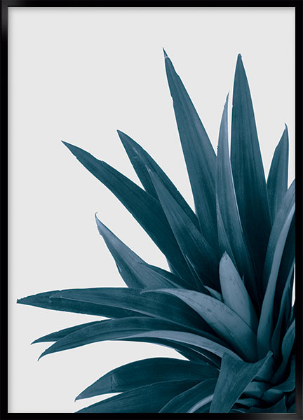 Plakat - Pineapple top
