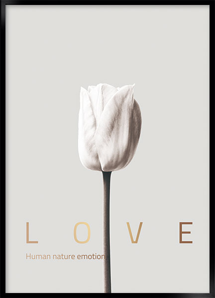 Plakat - Love