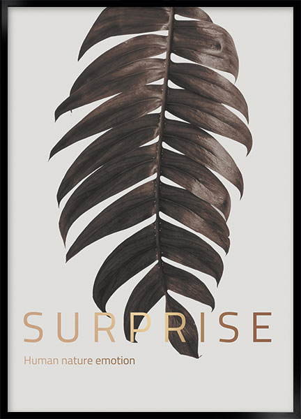 Plakat - Surprise
