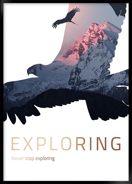 Plakat - Exploring