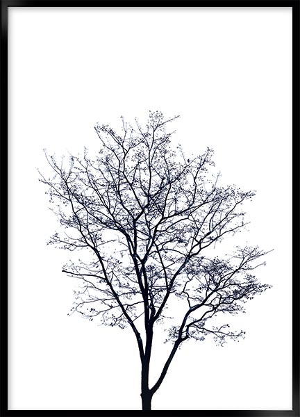 Plakat - Træ
