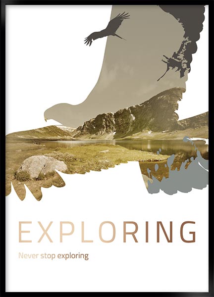 Plakat - Exploring