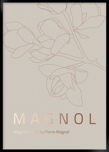 Plakat - Magnol