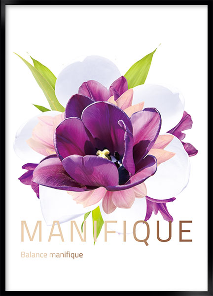 Plakat - Manifique