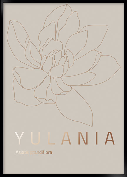 Plakat - Yulania