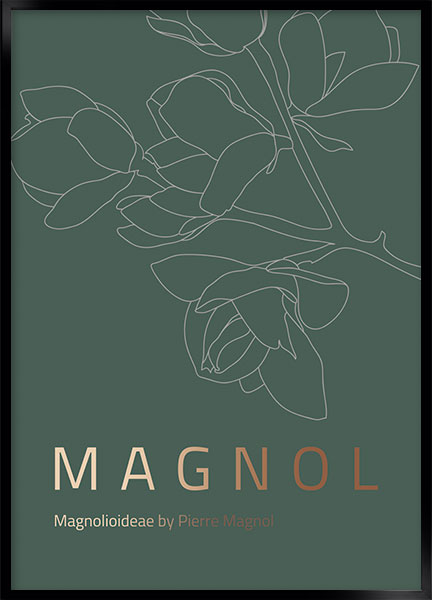 Plakat - Magnol