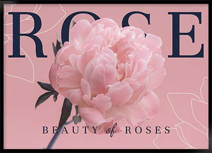Plakat - Beauty of roses