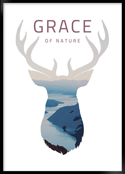 Plakat - Grace