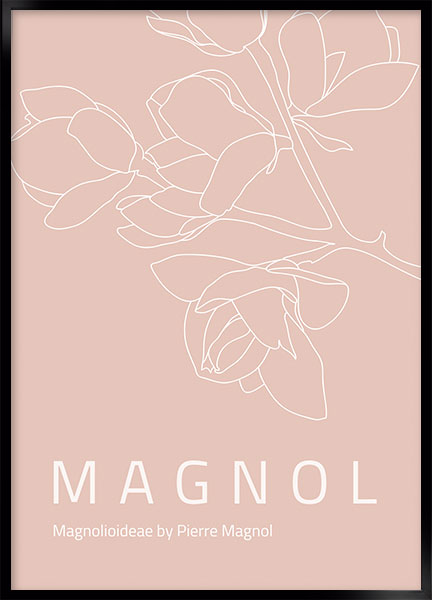 Plakat - Magnolia