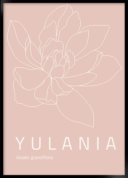 Plakat - Yulania