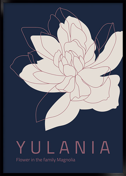 Plakat - Yulania