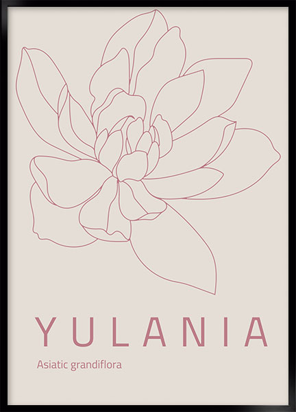 Plakat - Yulania
