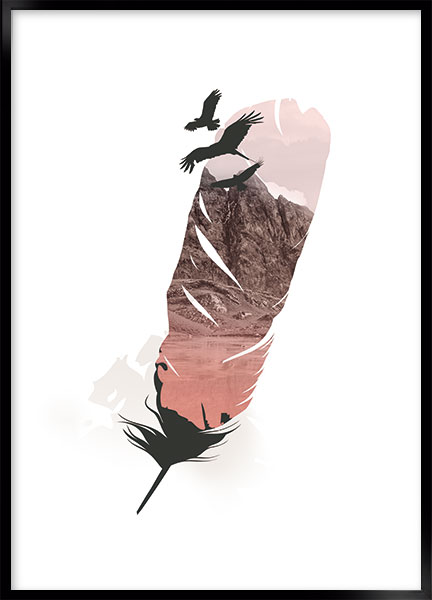 Plakat - Fjer