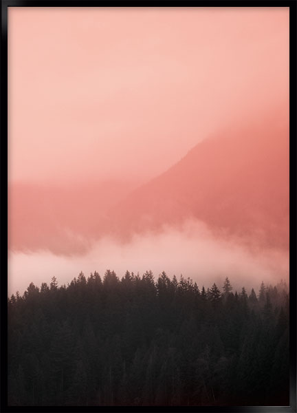 Plakat - Bakker