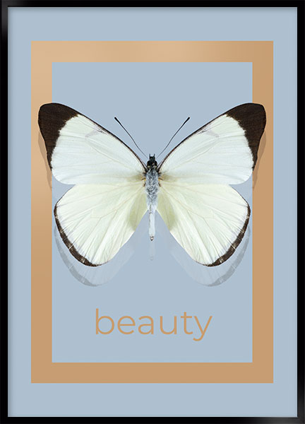 Plakat - Beauty