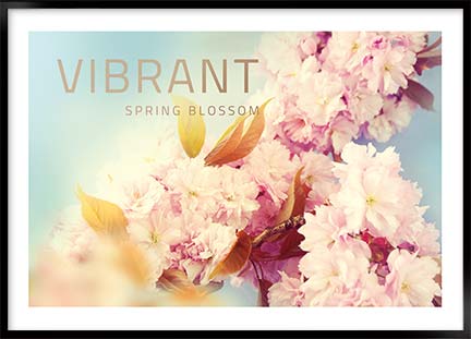Plakat - Vibrant