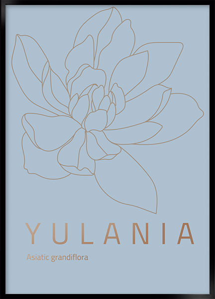 Plakat - Yulania