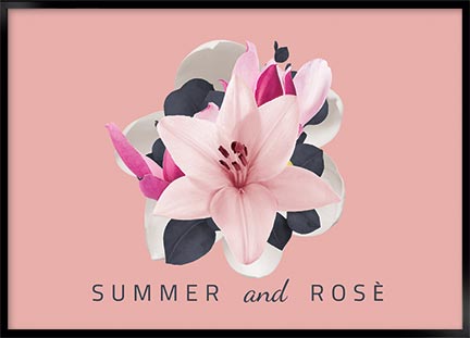 Plakat - Summer and rose