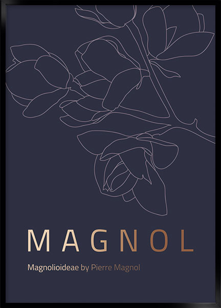 Plakat - Magnol